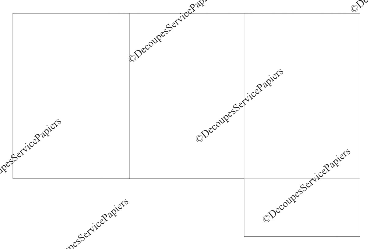 CHEMISE F 210 X 300 O 630 X 420.jpeg